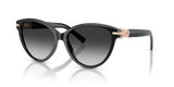 Black / Grey Gradient (80013C)