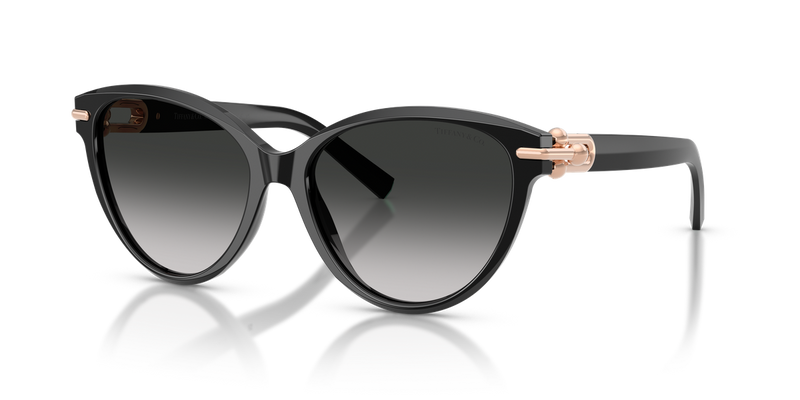 Tiffany TF4261F in Black / Grey Gradient (80013C) - Front View