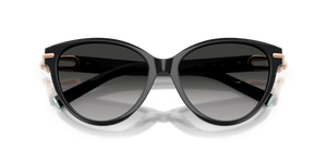 Black / Grey Gradient (80013C)