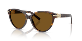 Havana / Dark Brown Polarized (801583)