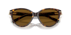 Havana / Dark Brown Polarized (801583)