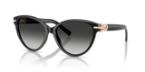 Black / Grey Gradient (80013C)