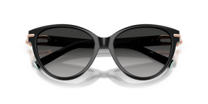 Black / Grey Gradient (80013C)