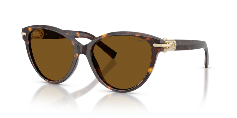 Tiffany TF4261 in Havana / Dark Brown Polarized (801583) - Alternate View