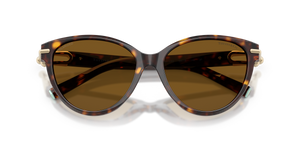 Havana / Dark Brown Polarized (801583)