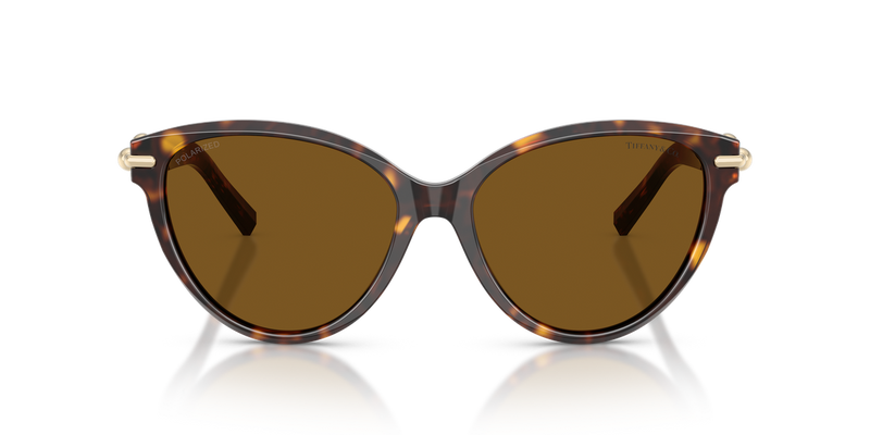 Tiffany TF4261 in Havana / Dark Brown Polarized (801583) - Alternate View