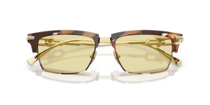 Brown Havana / Brown (845485)