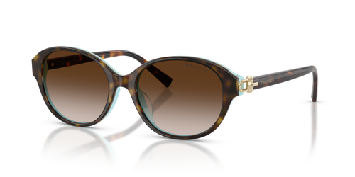 Havana On Tiffany Blue / Brown Gradient (81343B)