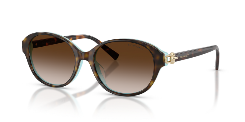 Tiffany TF4263D in Havana On Tiffany Blue / Brown Gradient (81343B) - Front View