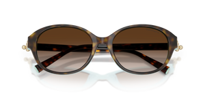 Havana On Tiffany Blue / Brown Gradient (81343B)
