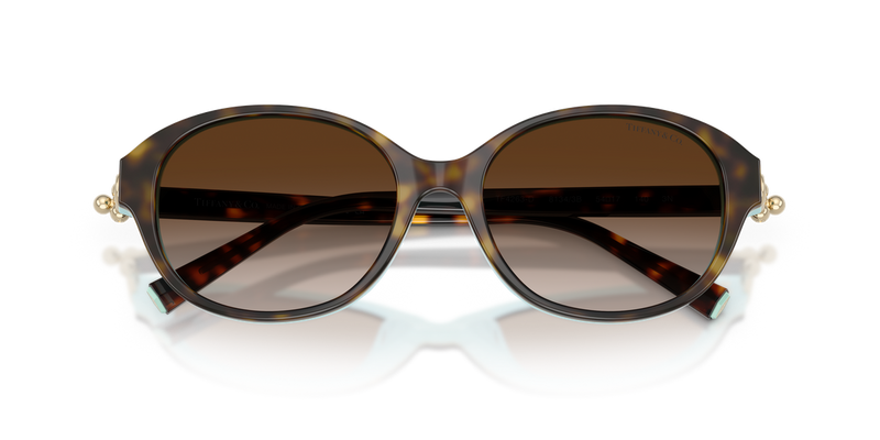 Tiffany TF4263D in Havana On Tiffany Blue / Brown Gradient (81343B) - Side View