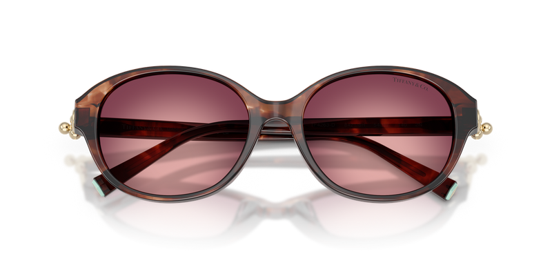Tiffany TF4263D in Spotted Brown Havana / Pink/Violet (84218H) - Alternate View