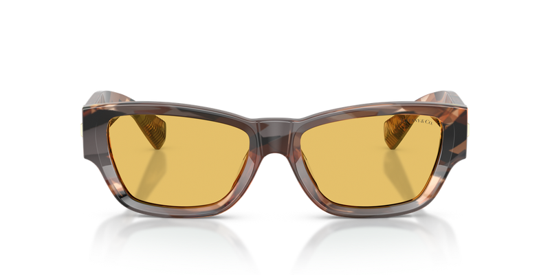 Tiffany TF4265U in Brown Havana / Yellow (845485) - Alternate View