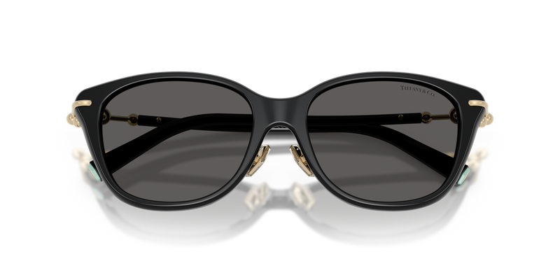 Tiffany TF4267F in Black - Side View