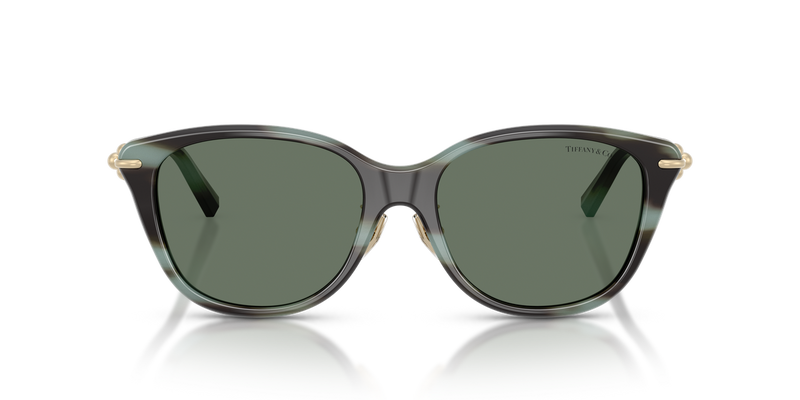 Tiffany TF4267F in Striped Black Tiffany - Alternate View
