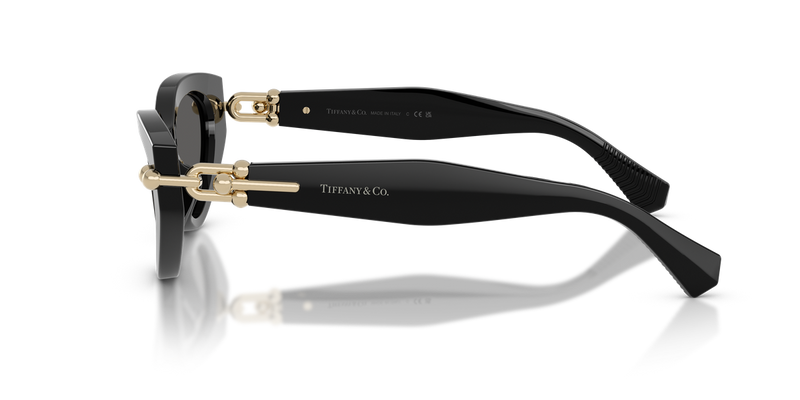 Tiffany TF4268U in Black - Back View