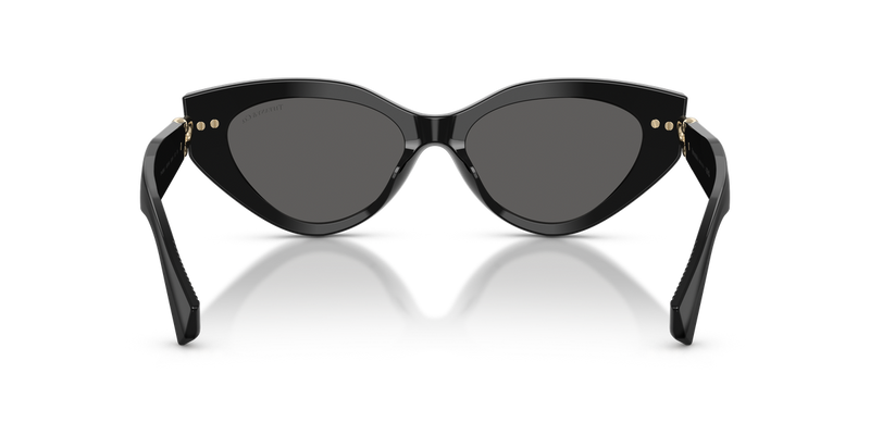Tiffany TF4268U in Black - Temple Detail