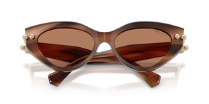 Striped Brown / Solid Brown (847573)