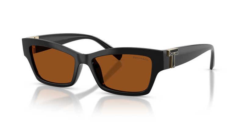 Tiffany TF4269U in Black - Alternate View