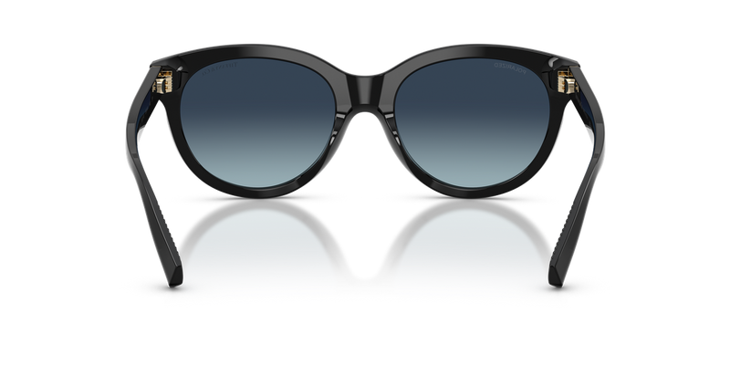 Tiffany TF4271 in Black - Temple Detail