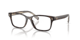Dark Tortoise (1728) (1728)