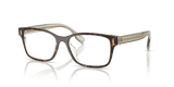 Dark Tortoise (2079)