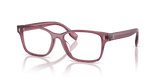Berry Transparent (3179)