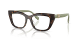 Dark Tortoise (1964) (1964)