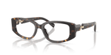 Brown Tortoise (1981)