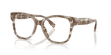 Crystal Brown Tortoise (2026)