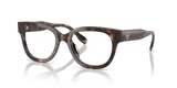Dark Tortoise (1964)