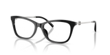 Black / Demo Lens (1709)