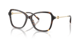 Dark Tortoise / Demo Lens (1728)