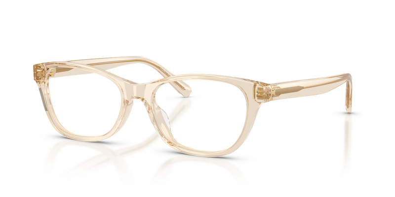 Tory Burch TY2172D in Transparent Beige - Alternate View