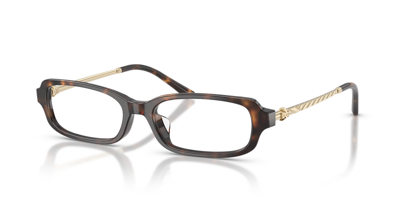 Tory Burch TY2176D in Dark Tortoise - Alternate View