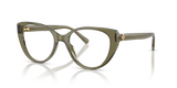 Transparent Olive / Recycled Demo (2085)