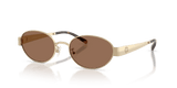 Shiny Light Gold / Dark Brown (336273)