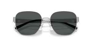 Silver / Dark Grey (327487)