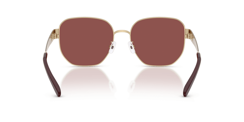 Tory Burch TY6117 in Brushed Light Gold / Wine (336275) - Alternate View