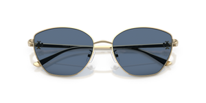 Shiny Light Gold / Solid Blue (334680)