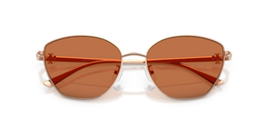 Light Rose Gold / Light Red Brown (335873)