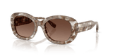 Transparent Brown Tortoise / Polar Light Brown Gradient (2026T5)