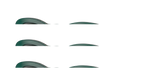 Dark Green/Transparent Sage / Dark Grey (205487)