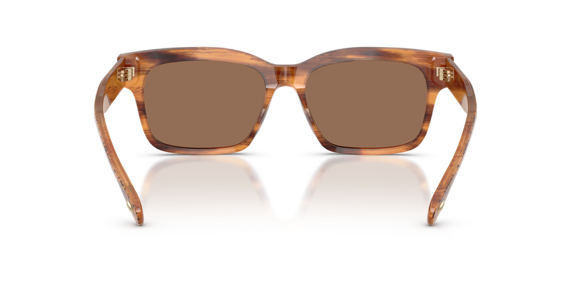 Tory Burch TY7227D in Honey Wood / Dark Brown (192573) - Alternate View