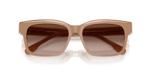 Brown/Crystal / Brown Gradient (205913)
