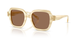 Ivory Horn / Brown (189073)