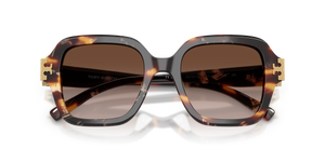 Dark Tortoise / Brown Gradient (207213)