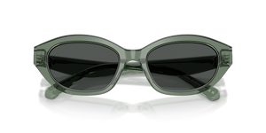 Transparent Sage / Dark Grey (194187)