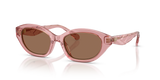 Transparent Pink / Dark Brown (202173)