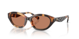 Contrast Tortoise / Amber (206673)